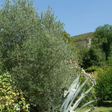 A L'oree Du Bois -